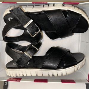 SAM EDELMAN | Narcissa Flat Sandal Black and White